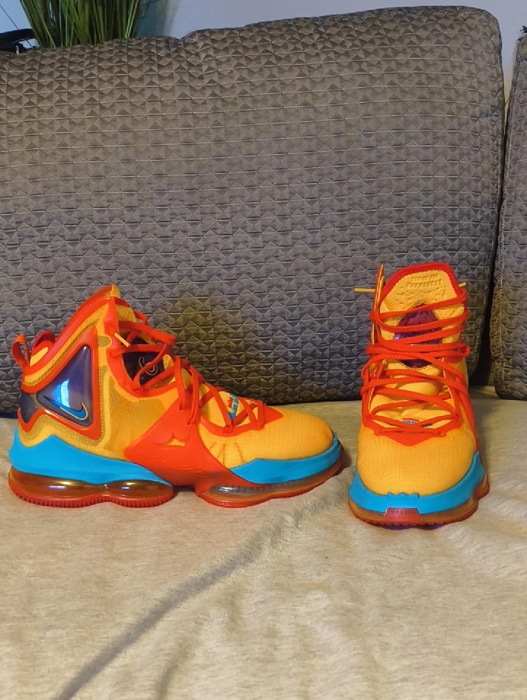 Lebron 19 Toon Squad